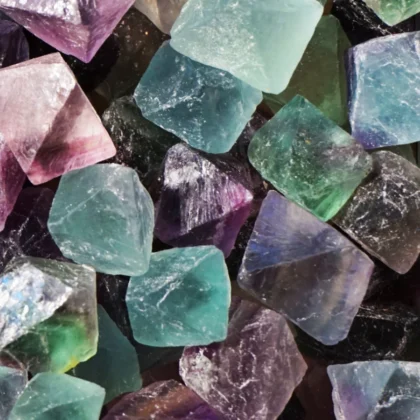 Jede Zelle benötigt Mineralien.