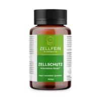 2569_Zellschutz